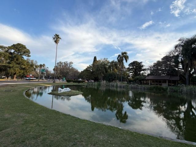 place photo 22