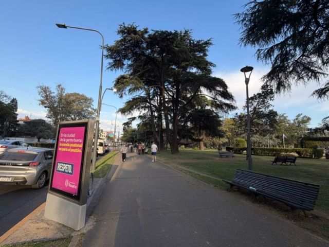 place photo 23
