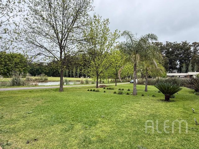 place photo 42
