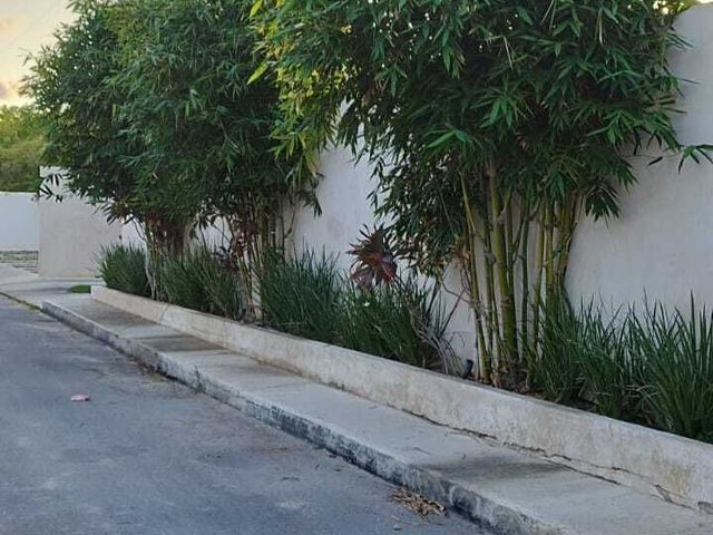 place photo 35