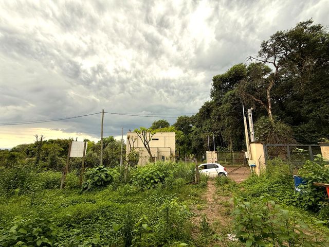 place photo 29