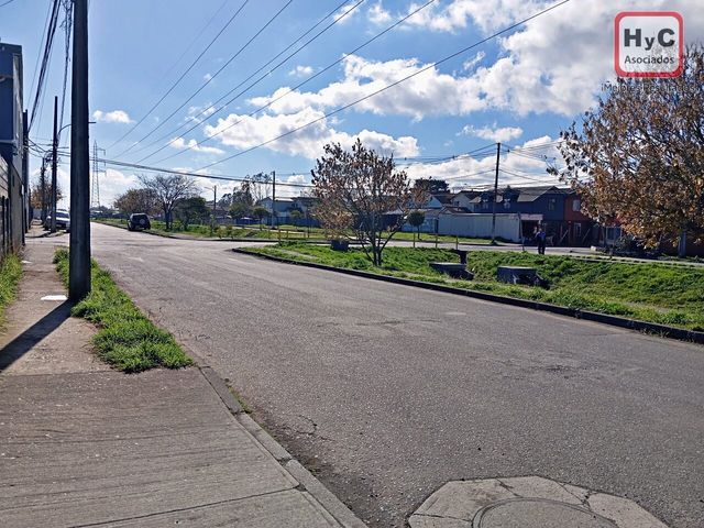place photo 14