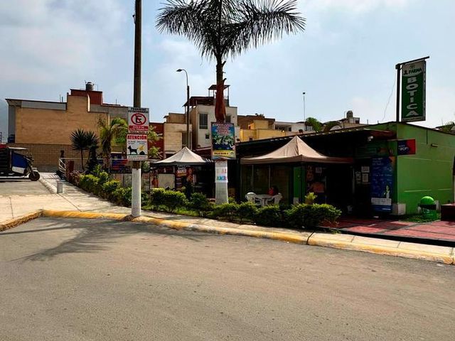 place photo 21