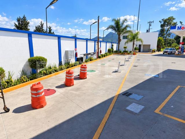 place photo 6