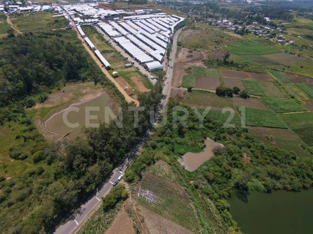 TERRENO VENTA EN LA AUTOPISTA TENANGO-IXTAPAN, VILLA GUERRERO, EDO. DE MÉXICO