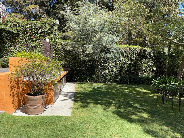 place photo 24