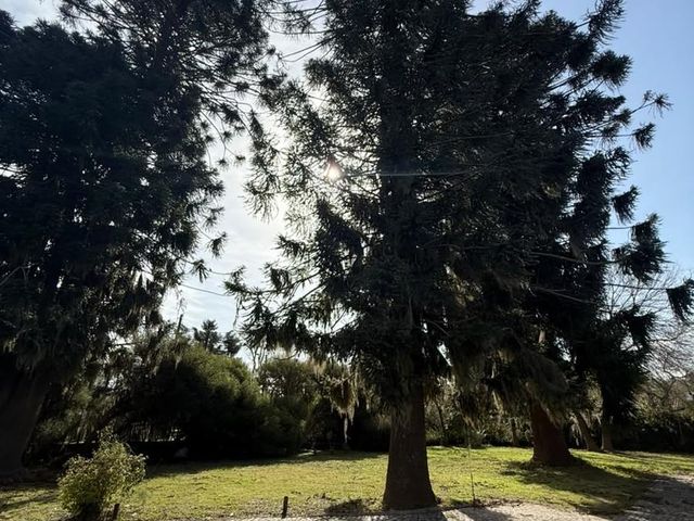 place photo 61