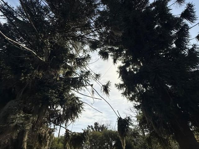 place photo 64