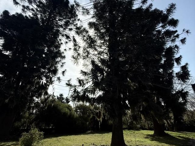 place photo 65