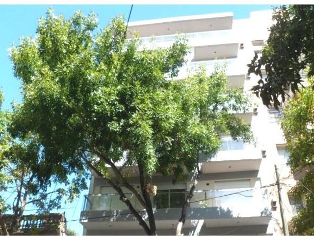 place photo 25