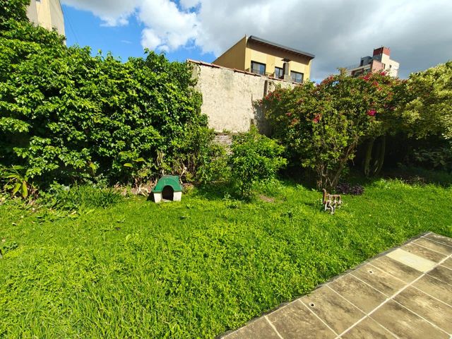 place photo 67
