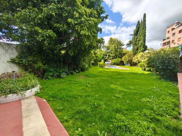 place photo 59