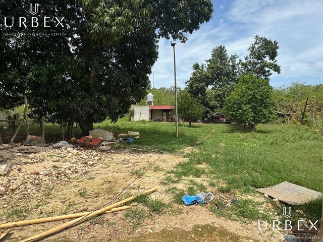 place photo 14