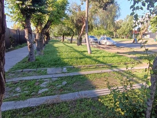 place photo 30