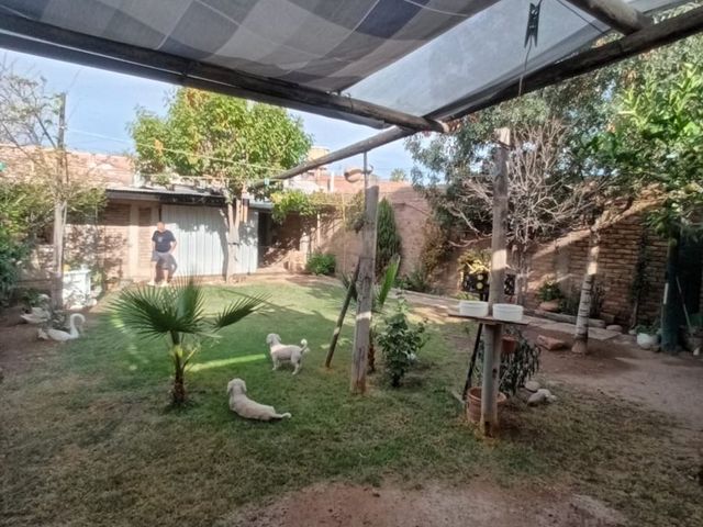 place photo 40