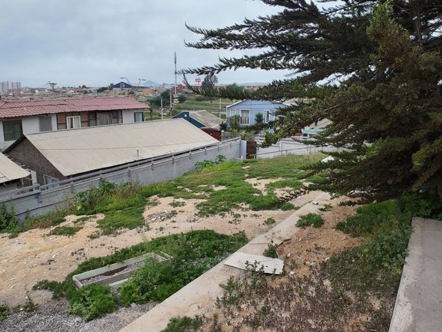 place photo 27