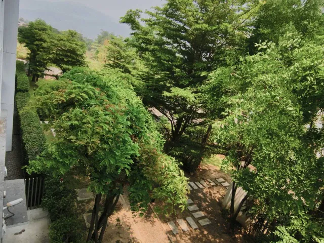 place photo 23