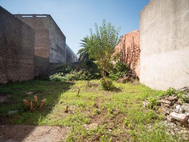 place photo 41