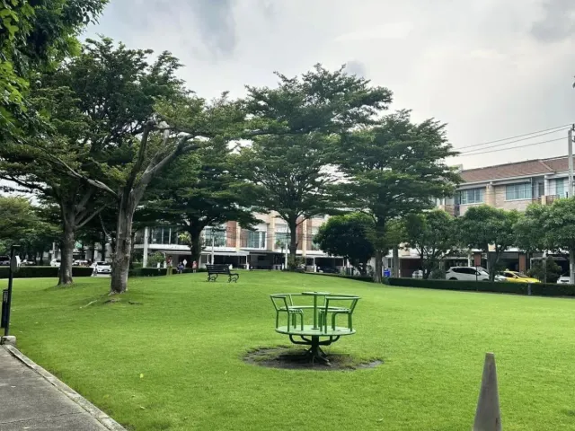 place photo 30