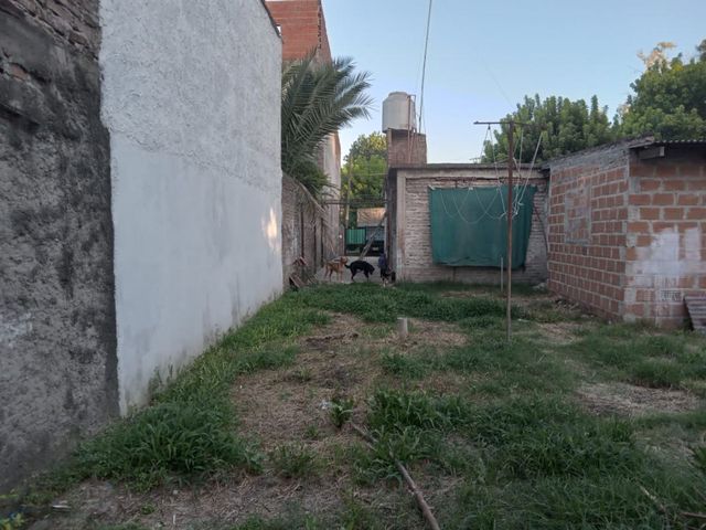 place photo 22