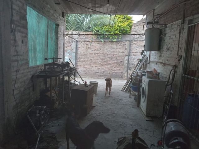 place photo 26