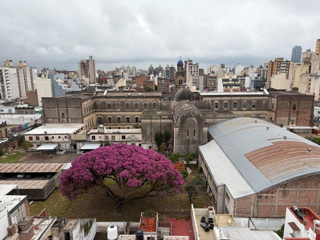 place photo 21