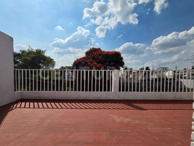 place photo 39