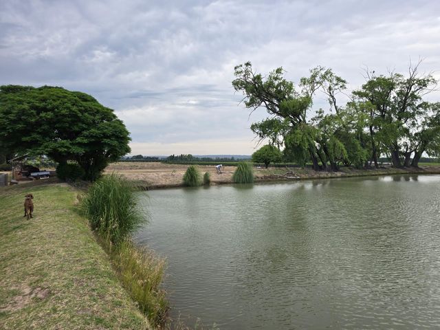 place photo 14