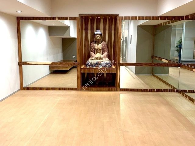 place photo 46