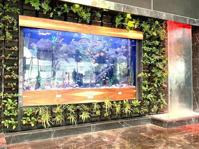 place photo 44
