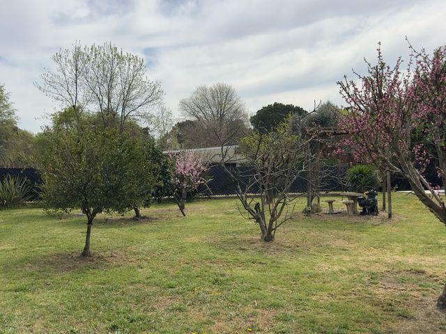 place photo 29
