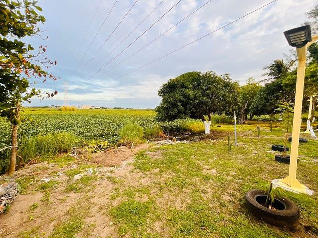 place photo 20