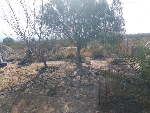 place photo 15