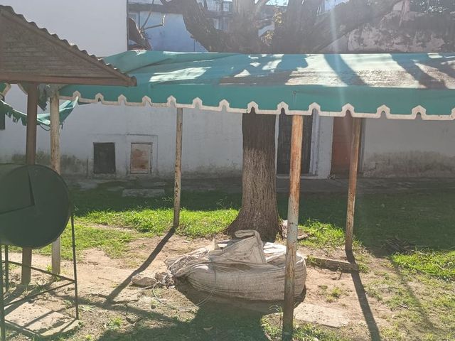 place photo 37