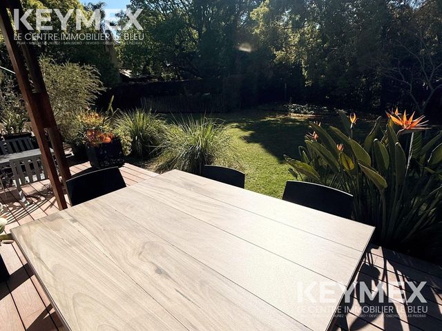 place photo 31