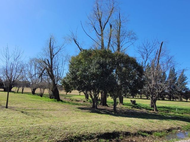 place photo 48