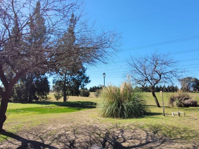 place photo 59