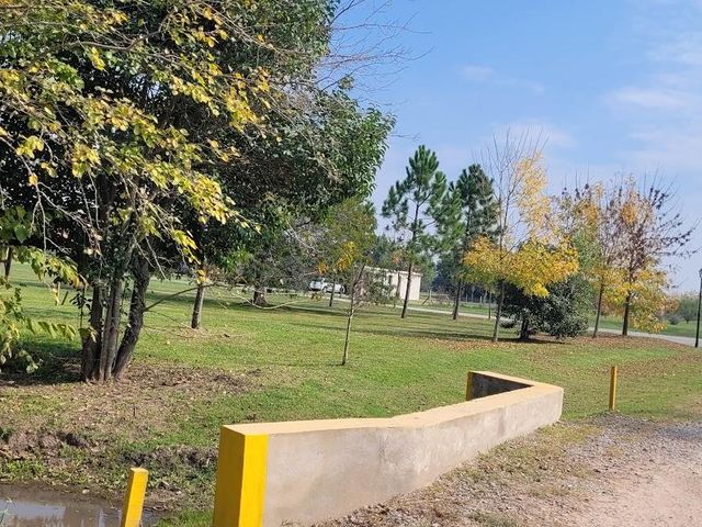 place photo 49