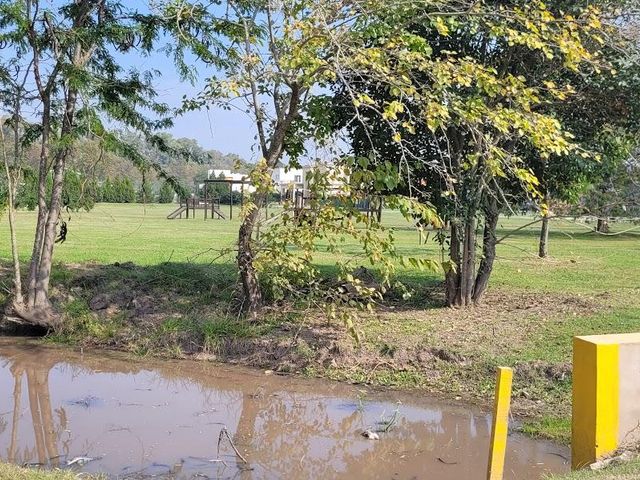 place photo 47