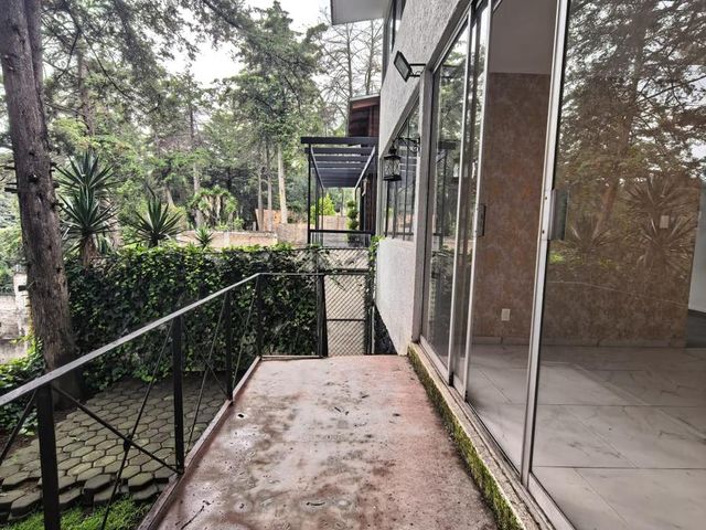 place photo 44