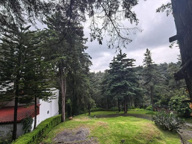 place photo 43
