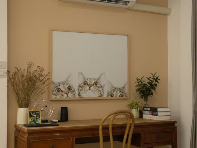 place photo 50