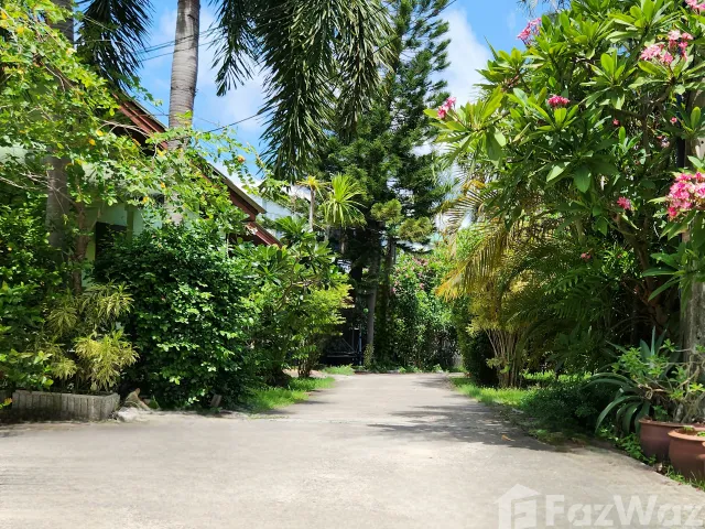 place photo 23