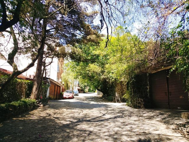 place photo 39