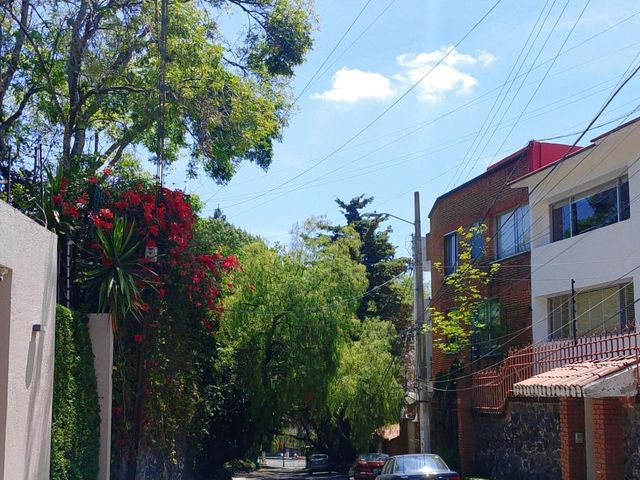 place photo 43