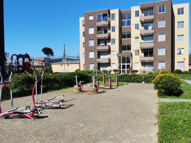place photo 20