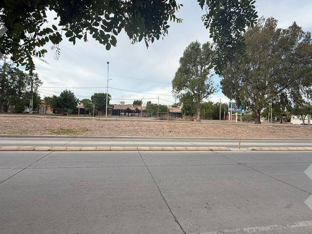 place photo 27
