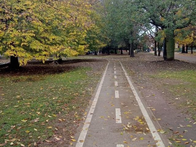 place photo 19