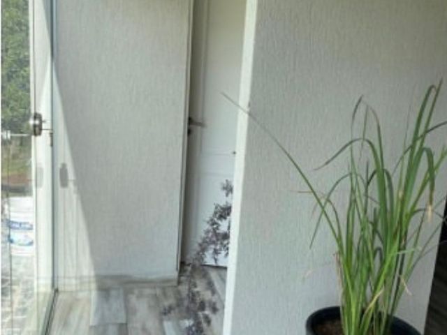place photo 42