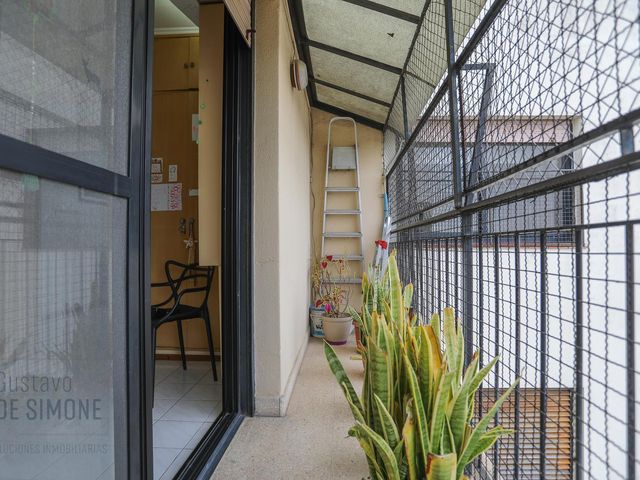 place photo 48